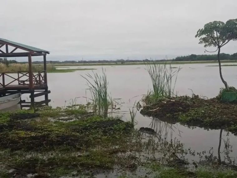 El joven frecuentaba la zona donde desapareció. Foto: NA