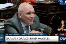 El diputado José Luis Espert durante la sesión Foto: Captura de Pantalla