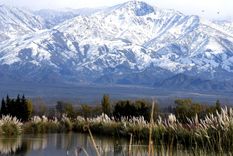 Foto: ALF PONCE MERCADO / MDZ Foto: ALF PONCE MERCADO / MDZ