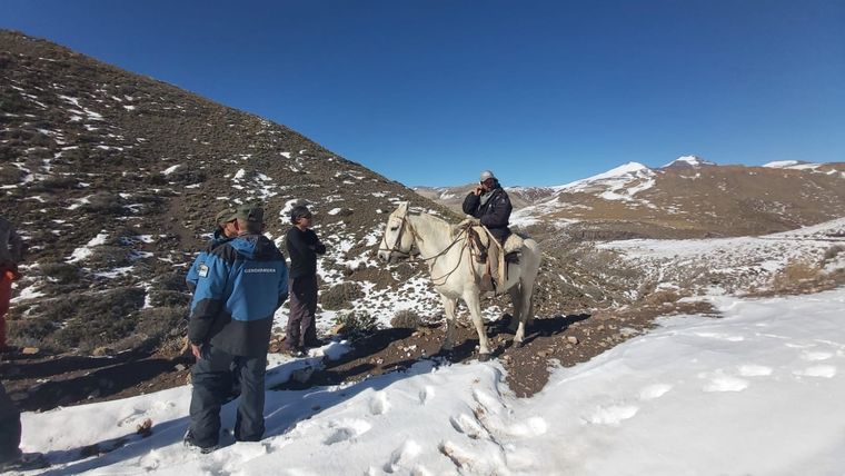 La pareja trasladaba animales cuando quedó varada