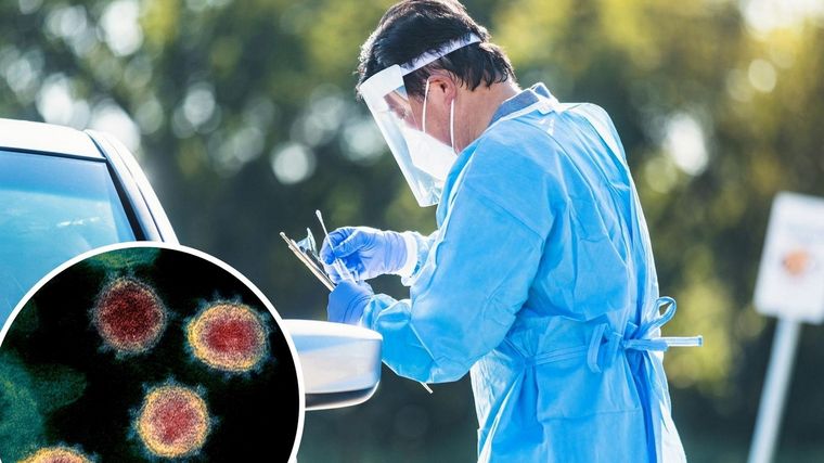 La cepa está siendo investigada en el mundo. Foto: TheScotsman.