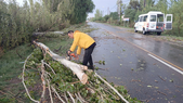 Árboles arrancados, tendidos eléctricos dañados y viviendas afectadas es el saldo parcial del temporal que atravesó el este mendocino durante el fin de semana. Árboles arrancados, tendidos eléctricos dañados y viviendas afectadas es el saldo parcial del temporal que atravesó el este mendocino durante el fin de semana.