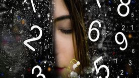 Los números de la suerte de hoy. Los números de la suerte de hoy.