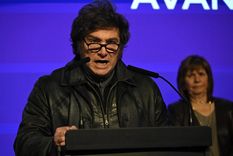 Según la encuesta de Zuban Córdoba, Milei perdió imagen en casi todos los sectores, pero entre los jóvenes mantiene un apoyo clave.