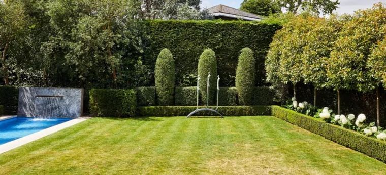 El césped, las plantas y los árboles crecen por naturaleza y, por lo tanto, es necesario cortarlos o podarlos. Cómo proceder durante el otoño. Foto: Future