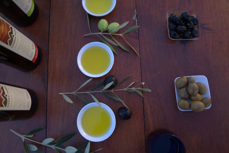 Cómo es la ruta del Olivo en Córdoba Foto: Prensa