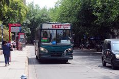 Foto: ALF PONCE / MDZ