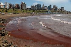 El mar se tiñó de rojo en las playas de la costa atlántica, desde la ciudad de Mar del Plata a Necochea. Foto: Gentileza