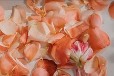 Los pétalos de flores al hacerse confeti: naturalmente biodegradables y también huelen divino. Foto: pexels.com