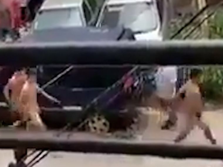 Los vecinos desnudaron a los ladrones tras asaltar una joven