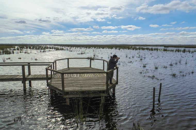 El parque ofrece una serie de actividades, entre las que se cuentan avistaje de aves. Foto: Parques Nacionales