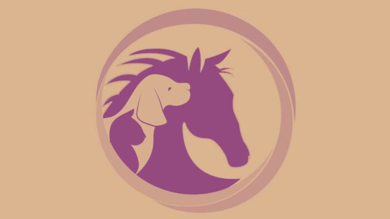 Test de personalidad