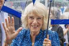 Luke Parker Bowles produjo la película Cada respiración que tomas. Foto: Instagram @theroyalfamily