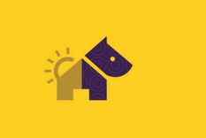 Test de personalidad Foto: Pinterest