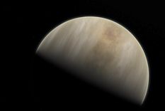 venus star point: ¿como afectara a tu signo este movimiento planetario?