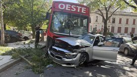 Un colectivo cruzó en rojo y arrolló un auto frente a la Municipalidad de La Plata Foto: X @Hechosanderecho