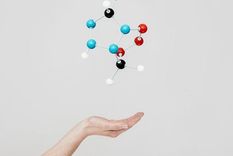 La biología cuántica puede abrir puertas a nuevos conocimientos. Foto: GETTY IMAGES