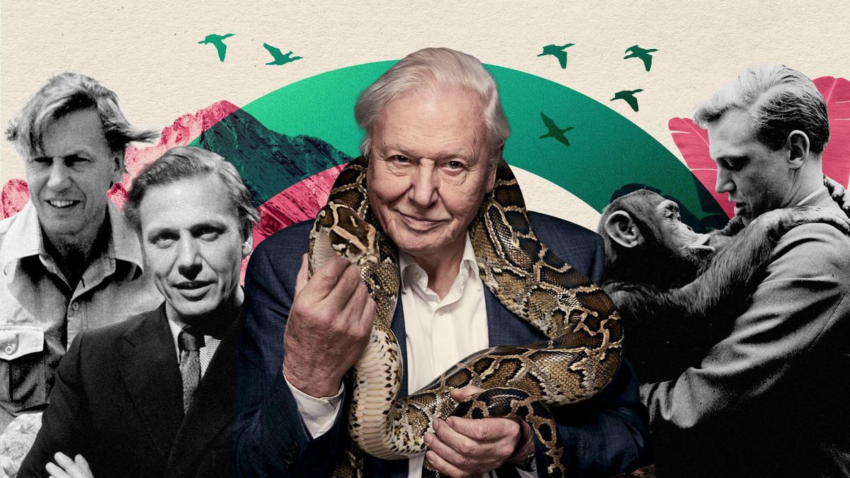 David Attenborough cumple 100 años: la vida en imágenes del arriesgado documentalista que cambió la forma en que vemos nuestro planeta