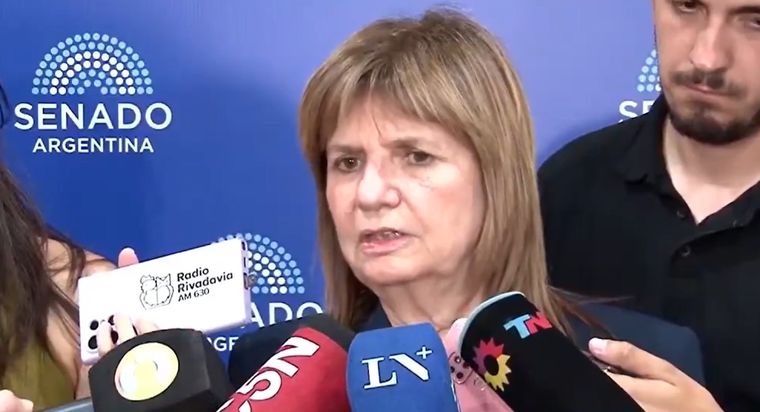 Patricia Bullrich en el Senado.