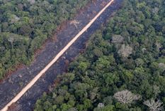 El gobierno de Bolsonaro aboga por el desarrollo en áreas protegidas de la Amazonía. Foto: REUTERS