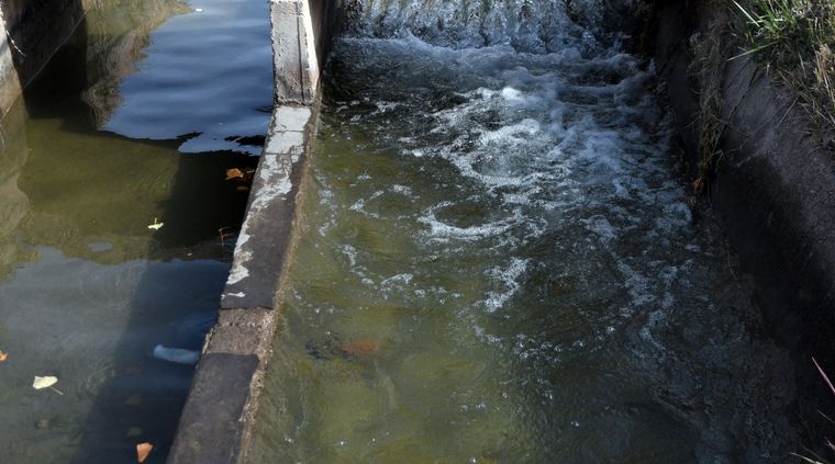 Foto: ALF PONCE MERCADO / MDZ