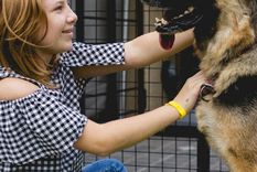 Las mascotas contribuyen a reducir la ansiedad y a brindarnos una sensación de felicidad única. Foto: @belabstract
