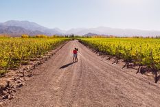 El verano en Mendoza es ideal para hacer actividades al aire libre Foto: Shutterstock