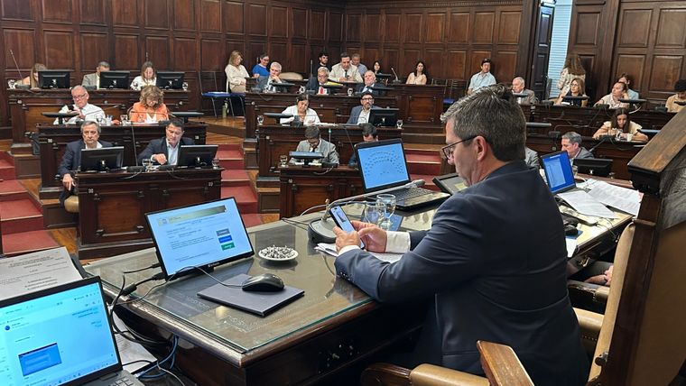 Diputados aprobó la Declaración de Impacto Ambiental de San Jorge.