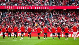 Benfica actuó contra 5 socios que profirieron insultos racistas a Vinícius. Benfica actuó contra 5 socios que profirieron insultos racistas a Vinícius.