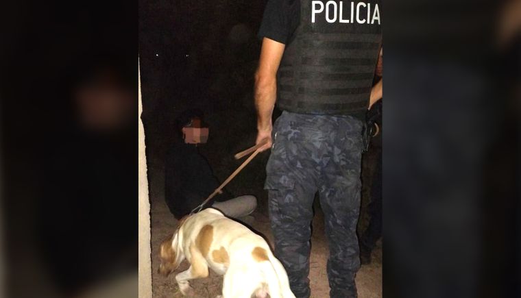 Fito, el perro del Cuerpo de Canes de la Policía que ayudó a resolver el paradero en San Martín.&nbsp;