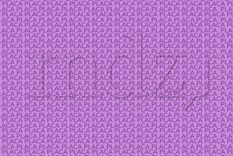 Acertijo visual Acertijo visual, Reto visual, Palabra Foto: MDZ Online