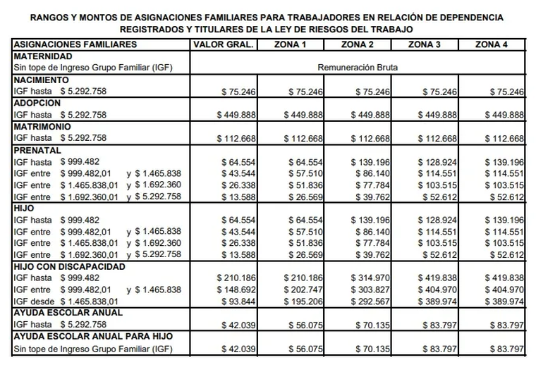Anses mantiene el esquema de cobro con retención del 20% en AUH y paga SUAF según rangos y zona. Anses mantiene el esquema de cobro con retención del 20% en AUH y paga SUAF según rangos y zona.