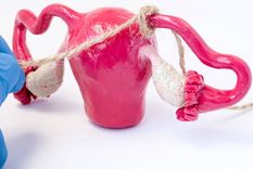 perros, gatos y personas...