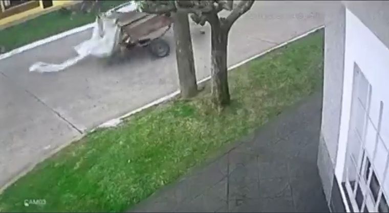 La insólita persecución se registró en la ciudad bonaerense de Quilmes.