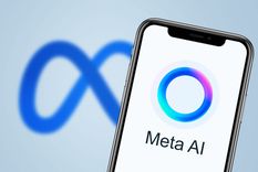 El chatbot alcanzó el nivel máximo de alucinación al asegurar que estaba físicamente presente en la puerta. El chatbot alcanzó el nivel máximo de alucinación al asegurar que estaba físicamente presente en la puerta.