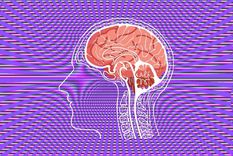 Test visual Test visual, Ilusión óptica Foto: Canva