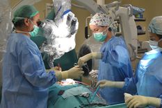 se realizaron mas de 400 transplantes de medula osea en argentina