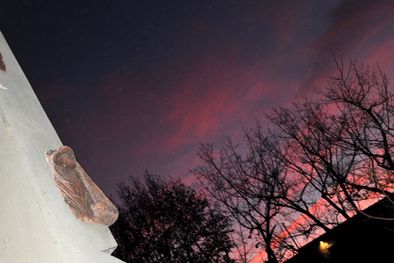 MDZol | Foto: Mediamza.com