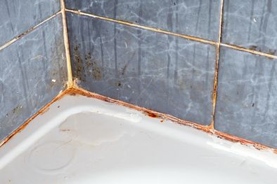 MDZol | moho, ducha