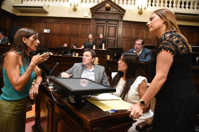Foto: Prensa Senado