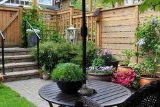 Con estos consejos, cualquier persona puede disfrutar de un jardín interior perfecto Foto: Shutterstock