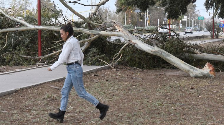 El sábado el evento de viento Zonda podría ser severo y provocar graves daños Foto: Walter Moreno / MDZ