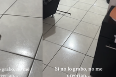 El video se hizo viral en muy poco tiempo. Foto: Archivo MDZ