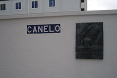 la historia del perro que espero doce anos a su dueno