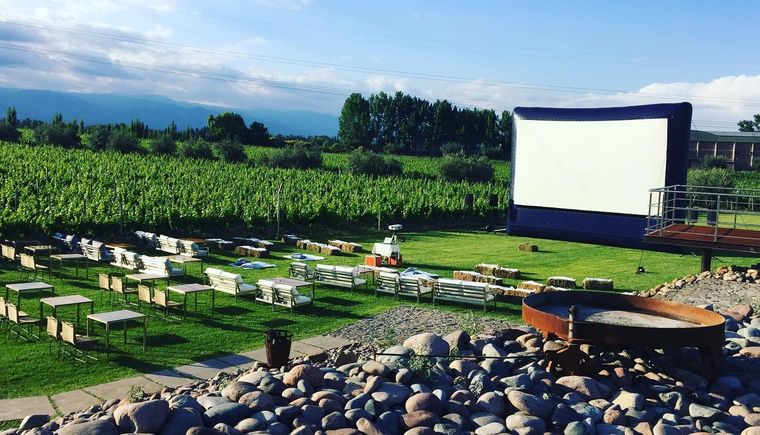 ¡No te pierdas el ciclo Vino el cine!