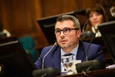 el curioso argumento que dio un legislador radical para defender la reforma de la corte