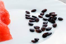 Semillas de sandía. Foto: Remains - lavanguardia.com