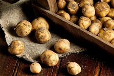 las patatas mas caras del mundo: pueden costar hasta 500 euros el kilo y te contamos que tienen de especial