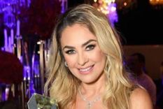 Aracely Arámbula, Luis Miguel