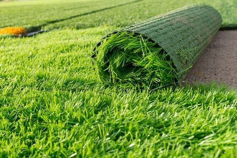 Estos son los tipos de césped que podes tener en tu jardín o terraza durante todo el año Foto: bobvila.com